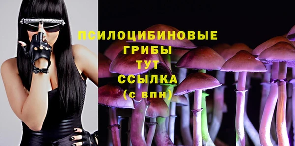 амфетамин Покров
