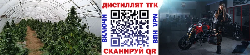 Дистиллят ТГК THC oil  Мариинск 