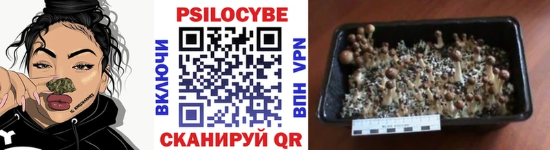 наркошоп  Мариинск  Псилоцибиновые грибы Magic Shrooms 